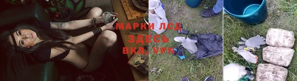 шишки Зерноград
