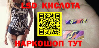 apvp Ярославль