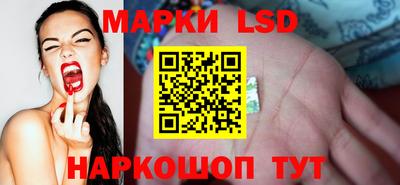 дмт Шебекино