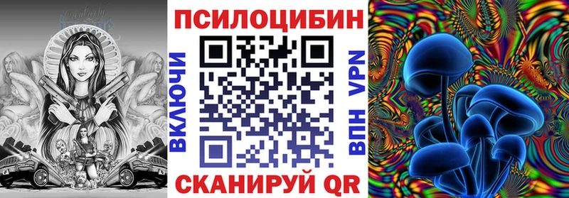 Псилоцибиновые грибы Psilocybine cubensis  Шахты 