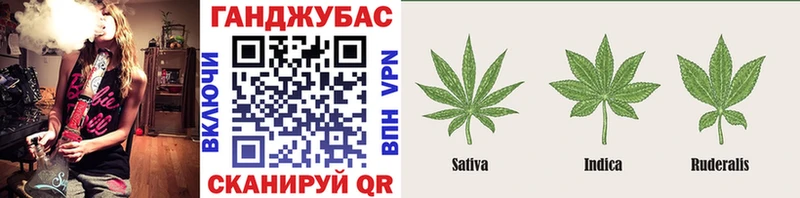 Бошки марихуана конопля  Шахты 